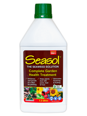 Seasol 1.2L bottle labelled "The Seaweed Solution" featuring benefits for indoor plant care, including root growth enhancement and pest management.