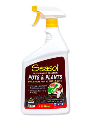 Seasol Pots & Plants spray bottle promoting soil health and enhancing flowering for indoor and outdoor plants