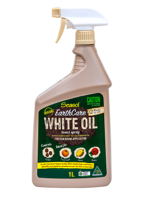 Seasol EarthCare White Oil insect spray bottle, 1L, featuring organic formula for year-round application, ideal for controlling scales, mites, and aphids on fruit trees, citrus, and roses.