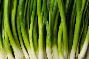 How to grow Spring onions - seven easy tips from seeds to harvest