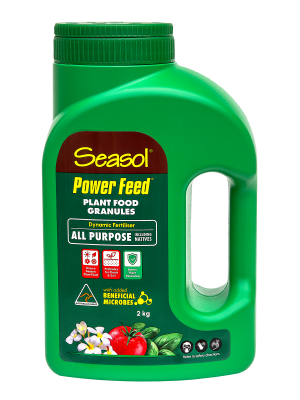 Seasol Power Feed plant food granules in a green container promoting healthy growth for all-purpose gardening
