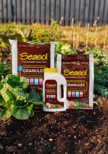 Seasol Plant Health and Soil Improver Granules Seasol Plant Health and Soil Improver Granules in a garden setting