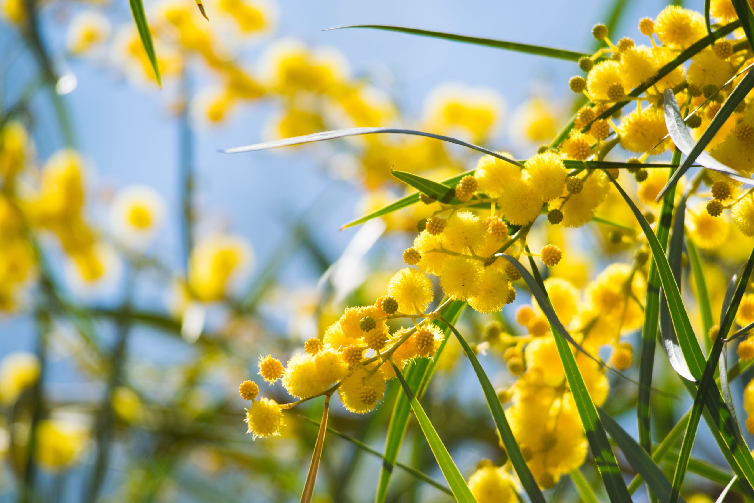 Your Garden in September 2026